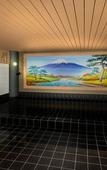 Туры в отель Hotel Torifito Otaru Canal Туры в отель Hotel Torifito Otaru Canal