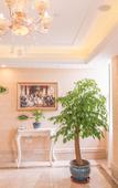 Туры в отель Vienna International Jinqiao Industrial Park Туры в отель Vienna International Jinqiao Industrial Park
