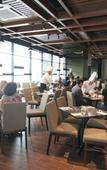Туры в отель Nexus Regency Suites & Hotel Туры в отель Nexus Regency Suites & Hotel