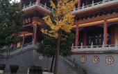 Туры в отель Ramada Plaza by Wyndham Changsha Wangcheng Туры в отель Ramada Plaza by Wyndham Changsha Wangcheng