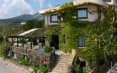 Туры в отель Hotel Costa Dorada Туры в отель Hotel Costa Dorada