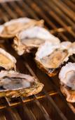 Туры в отель Four Points by Sheraton Suzhou, Wuzhong Туры в отель Four Points by Sheraton Suzhou, Wuzhong