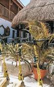 Туры в отель Nilu Isla Mujeres by Selina Туры в отель Nilu Isla Mujeres by Selina