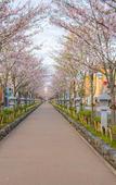 Туры в отель Gen Hotel Kamakaura Туры в отель Gen Hotel Kamakaura