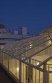 Туры в отель Casual Con Duende Cadiz Hotel by Casual Hoteles Туры в отель Casual Con Duende Cadiz Hotel by Casual Hoteles