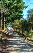 Туры в отель Holiday Inn Express & Suites Queenstown by IHG Туры в отель Holiday Inn Express & Suites Queenstown by IHG