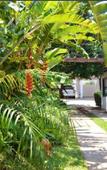 Туры в отель Hotel Desertica Туры в отель Hotel Desertica