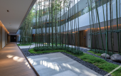 Туры в отель Melia Chongqing Туры в отель Melia Chongqing