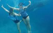 Туры в отель Island Front Bangcogon Resort and Restaurant Туры в отель Island Front Bangcogon Resort and Restaurant