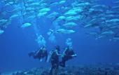 Туры в отель Island Front Bangcogon Resort and Restaurant Туры в отель Island Front Bangcogon Resort and Restaurant