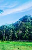 Туры в отель The Bliss Khao Sok Boutique Lodge Туры в отель The Bliss Khao Sok Boutique Lodge