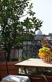 Туры в отель Hotel Ponte Sisto Туры в отель Hotel Ponte Sisto