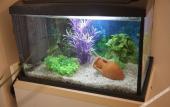 Туры в отель Etna Sea House Туры в отель Etna Sea House