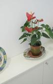 Туры в отель Etna Sea House Туры в отель Etna Sea House
