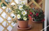 Туры в отель Etna Sea House Туры в отель Etna Sea House