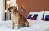Туры в отель Mercure Dunkerque Centre Gare Туры в отель Mercure Dunkerque Centre Gare