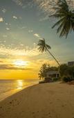 Туры в отель Absolute Beachfront Resort Туры в отель Absolute Beachfront Resort