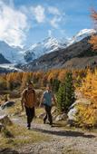 Туры в отель Hotel Muller Mountain Lodge Туры в отель Hotel Muller Mountain Lodge