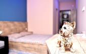 Туры в отель Hotel Costa Туры в отель Hotel Costa