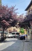 Туры в отель Hotel Voila Londres Туры в отель Hotel Voila Londres