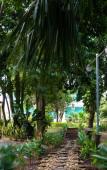 Туры в отель Casa Aakal Lagoon Front Туры в отель Casa Aakal Lagoon Front