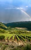 Туры в отель Mastrojanni Relais - Small Luxury Hotels of the World Туры в отель Mastrojanni Relais - Small Luxury Hotels of the World