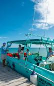 Туры в отель Delek Holbox Туры в отель Delek Holbox