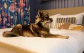 Туры в отель Jost Hotel Le Havre Gare Туры в отель Jost Hotel Le Havre Gare