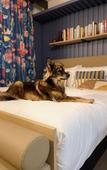 Туры в отель Jost Hotel Le Havre Gare Туры в отель Jost Hotel Le Havre Gare
