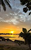 Туры в отель Freedom Beach Resort Туры в отель Freedom Beach Resort