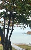 Туры в отель Freedom Beach Resort Туры в отель Freedom Beach Resort