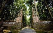 Туры в отель Magical Jungle Resort and Spa Туры в отель Magical Jungle Resort and Spa