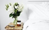Туры в отель VOCA HOTEL & SUITES Туры в отель VOCA HOTEL & SUITES