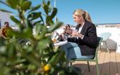Туры в отель Aila II Hotel Boutique Туры в отель Aila II Hotel Boutique