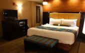 Туры в отель Best Western Plus Miami Executive Airport Hotel & Suites Туры в отель Best Western Plus Miami Executive Airport Hotel & Suites