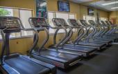 Туры в отель Silver Lake Resort Туры в отель Silver Lake Resort