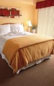 Туры в отель Silver Lake Resort Туры в отель Silver Lake Resort