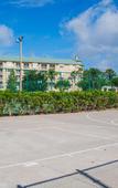 Туры в отель Silver Lake Resort Туры в отель Silver Lake Resort