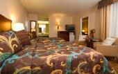 Туры в отель Tropicana Inn and Suites Туры в отель Tropicana Inn and Suites
