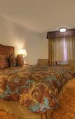 Туры в отель Tropicana Inn and Suites Туры в отель Tropicana Inn and Suites