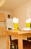 Туры в отель Tropicana Inn and Suites Туры в отель Tropicana Inn and Suites