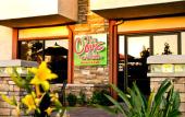 Туры в отель Tropicana Inn and Suites Туры в отель Tropicana Inn and Suites