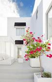 Туры в отель Blanc Kara - Adults Only Туры в отель Blanc Kara - Adults Only