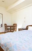 Туры в отель HOTEL MYSTAYS Iidabashi Туры в отель HOTEL MYSTAYS Iidabashi