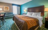 Туры в отель Comfort Inn & Suites Fort Lauderdale West Turnpike Туры в отель Comfort Inn & Suites Fort Lauderdale West Turnpike