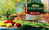 Туры в отель Courtyard by Marriott Lyndhurst Meadowlands Туры в отель Courtyard by Marriott Lyndhurst Meadowlands