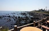 Туры в отель T Island Resort Туры в отель T Island Resort