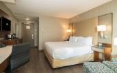 Туры в отель Hotel Blu Vancouver Туры в отель Hotel Blu Vancouver