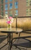 Туры в отель Hotel Blu Vancouver Туры в отель Hotel Blu Vancouver