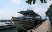 Туры в отель Family House Resort Туры в отель Family House Resort